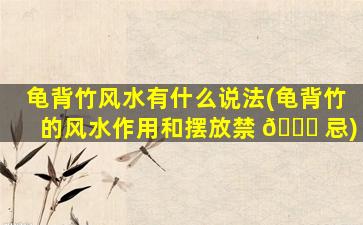 龟背竹风水有什么说法(龟背竹的风水作用和摆放禁 🕊 忌)
